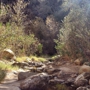 Towsley Canyon Park