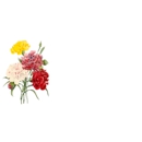 Miller's Flowerland Inc & Greenhouses - Flowers, Plants & Trees-Silk, Dried, Etc.-Retail