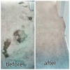 Economy Carpet Cleaning gallery
