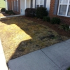 Byran Smith's Landscaping Inc gallery