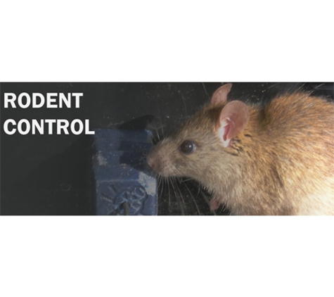 Affordable Pest Control - Nowra, NSW