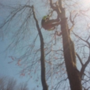 C & R Tree Service - Landscaping & Lawn Services