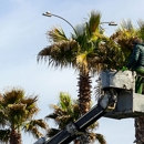 Mario Tree Service - Arborists
