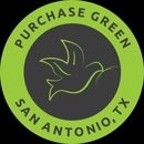 Purchase Green Artificial Grass - Landscape Designers & Consultants
