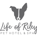 Life of Riley DC (AdMo) - Dog Training