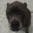 Cedar Ridge Animal Hospital - Veterinary Clinics & Hospitals