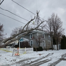 C&R's Out On A Limb Tree Care - Tree Service