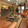Signature Inn Houston Galleria gallery