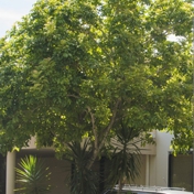Gallery Image Number 4