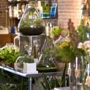 Sprout Home Inc - Garden Centers