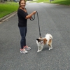 patty's pet sitting services gallery