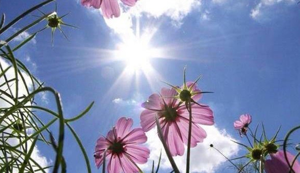 Bryan J Reid Funeral Services - Woy Woy, NSW