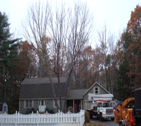 Jackson's Tree Service - Dayton, ME