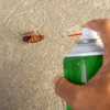 Parkers Pest Management gallery