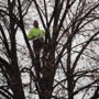 Kottman's Tree Service