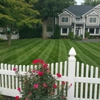 Quality Island Landscaping gallery