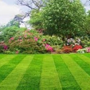 Top Green Organics LLC - Landscape Designers & Consultants