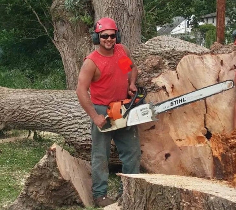 Mohr Tree Service - Rochester, NY