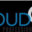 Cloud Accounting Professionals - Accounting Services