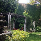 Watson's Veggie Garden