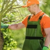 Camelia Landscaping gallery