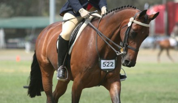 Forest Park Riding & Equitation School - Stromlo, ACT