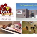 The Puppy Lounge - Pet Stores