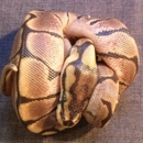 Exotic Pets Wholesale - Pet Stores