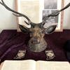 Elks Lodge gallery