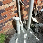 Gallery Image Number 5