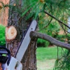 Guardian Tree Solutions gallery
