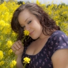 Sapphire Romance Photography gallery