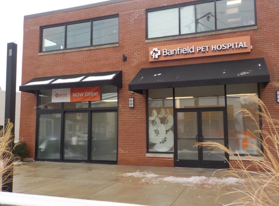 Banfield Pet Hospital - Newton, MA