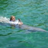 Miami Swim with Dolphin Tours gallery