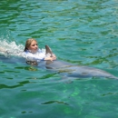 Miami Swim with Dolphin Tours - Tours-Operators & Promoters