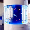 REEF BAR AQUARIUM SERVICES, INC. gallery