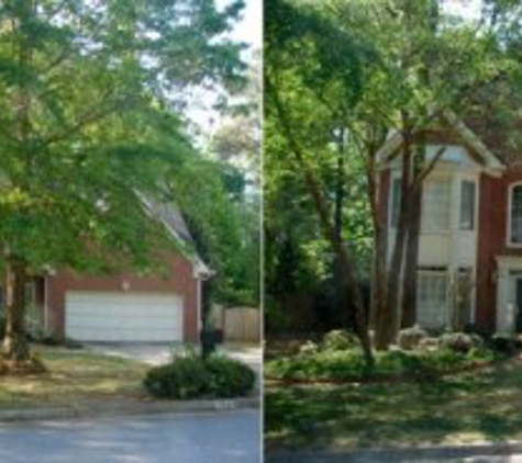 Tree Removal Specialist - Fort Mill, SC