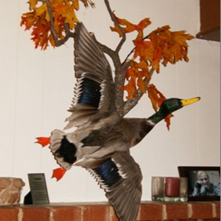 True-To-Nature Taxidermy - Palmyra, NY