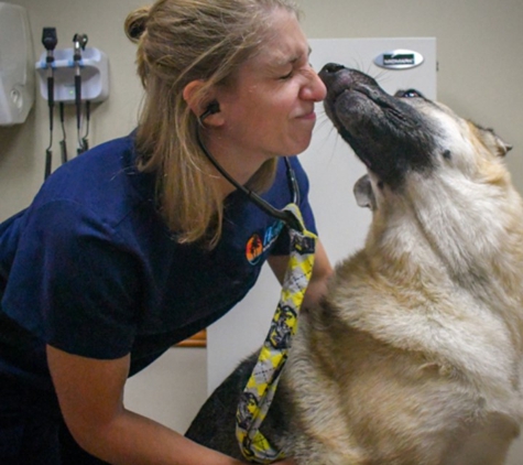 Aloha Pet And Bird Hospital - Indian Harbour Beach, FL