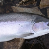 Northern Steel Outfitters gallery