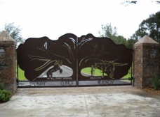 Gallery Image Number 1