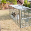 Royal Exterminating Co. Inc. - Pest Control Services