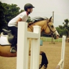 Bear Creek Stables gallery