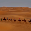 Sahara Tours LLC gallery