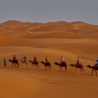 Sahara Tours LLC