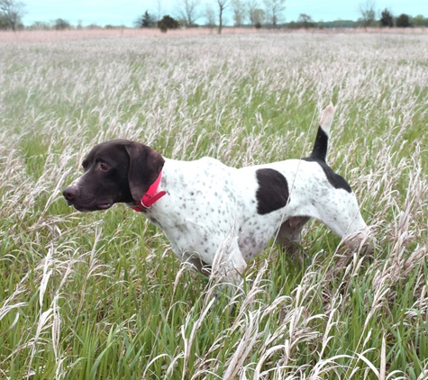 Sundance Kennels - Bristol, WI