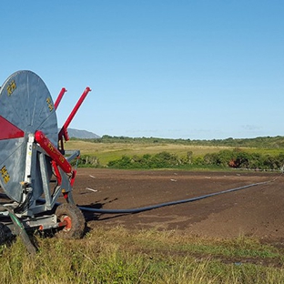 Turbo Reel Irrigation - Trafalgar, VIC