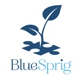 BlueSprig St. Louis - ABA Therapy for Autism
