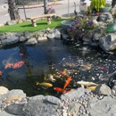 Aquarium & Pond Care - Lake & Pond Construction