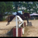 Triton Stables, Inc. - Stables